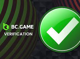 BC Game Download Application
